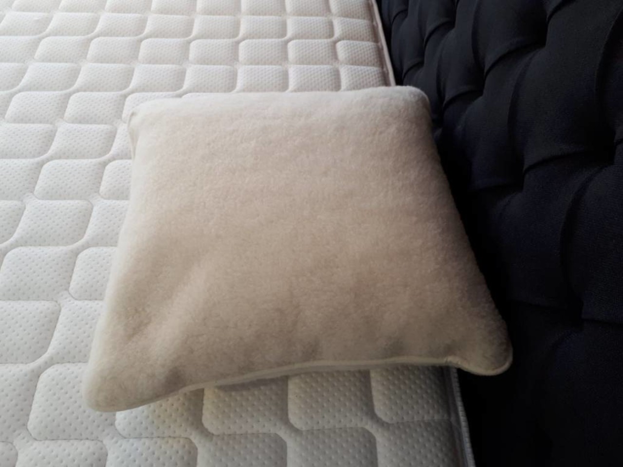 Sleep coach Wollen Kussen Merino Sleep coach Wollen Kussen Merino
