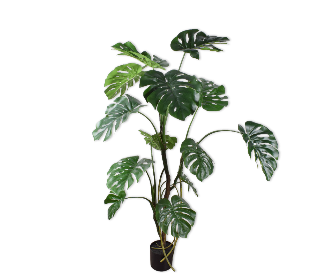 Silkka MONSTERA GROEN 150 cm Amis Baillie