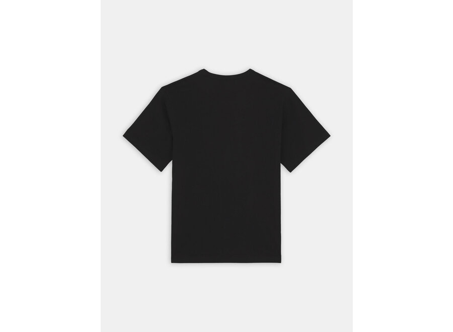 Dickies Aitkin T-shirt Blk/Coronet Ble