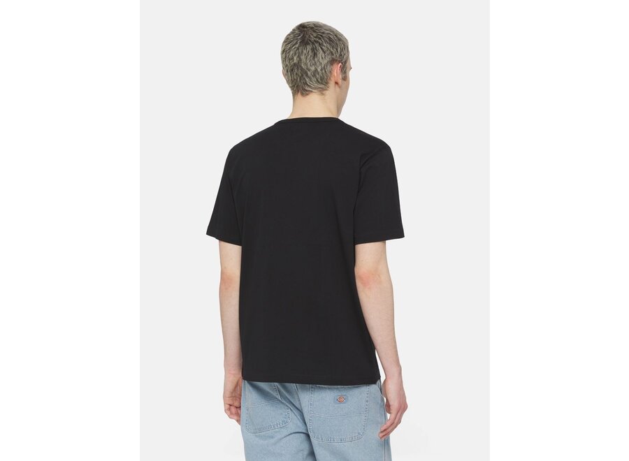Dickies Aitkin T-shirt Blk/Coronet Ble