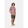 Reell Reflex Easy Short Olive