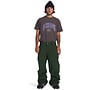 DC Shoes Snow Chino Pant Mountain View