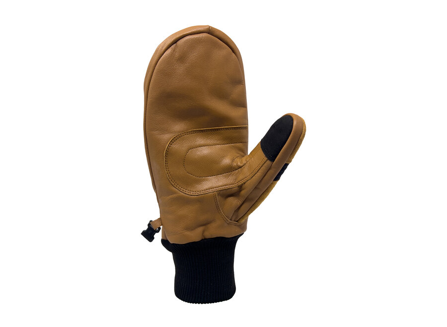 Transform The Photo Incentive Mitt Tan