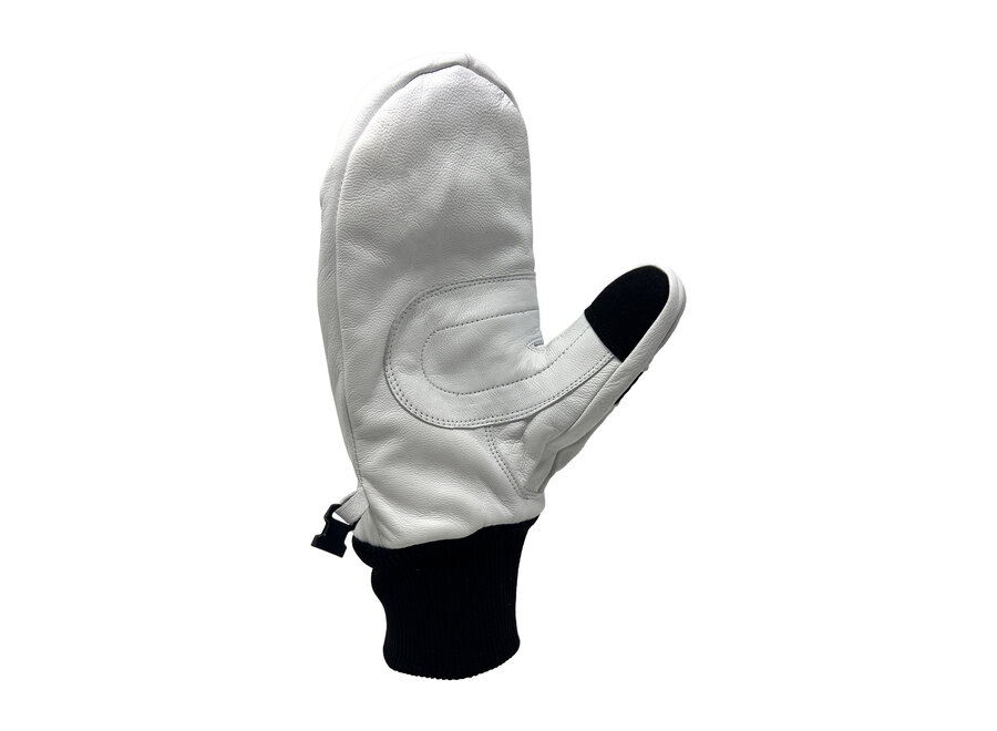 Transform The Photo Incentive Mitt White