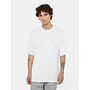 Dickies Clancy Heavyweight T-shirt S/S White