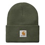 Carhartt WIP Acrylic Watch Hat Opuntia
