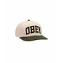 Obey Collegiate 6 Panel Strapback Cedar Multi
