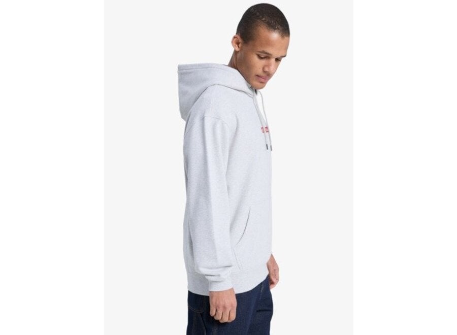 Quiksilver DNA Hoodie Fleece Top Light Grey Heather