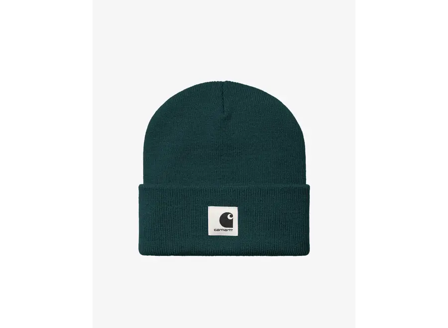 W' Ashley Beanie Velvet Green