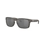 Oakley Holbrook Woodgrain Prizm Black Polarized