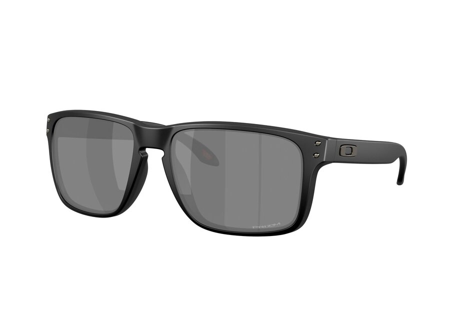 Oakley Holbrook XXL Matte Black Prizm Black