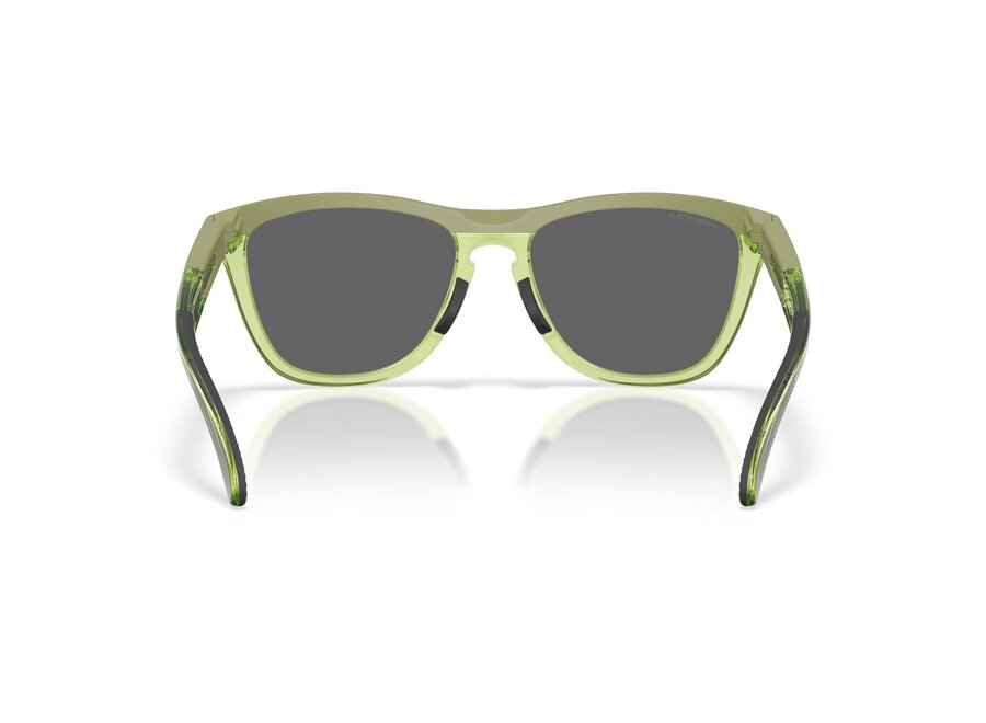 Oakley Frogskins Range XL Matt Fern/Transparent Fern Prizm Black