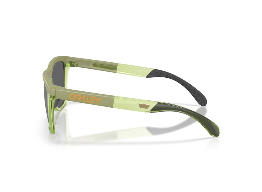 Oakley Frogskins Range XL Matt Fern/Transparent Fern Prizm Black