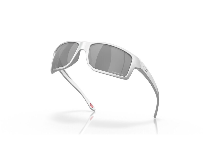 Oakley Gibston X-Silver Prizm Black