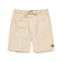 Billabong Larry Cord Walk Shorts Chino