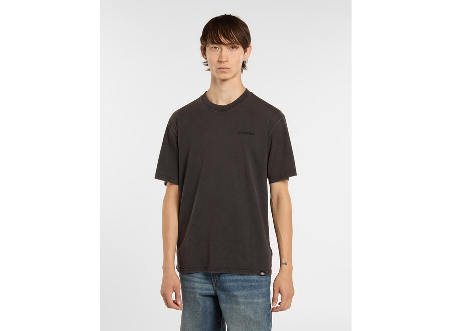 Dickies Plentywood S/S T-Shirt Double Dye/Acid Black
