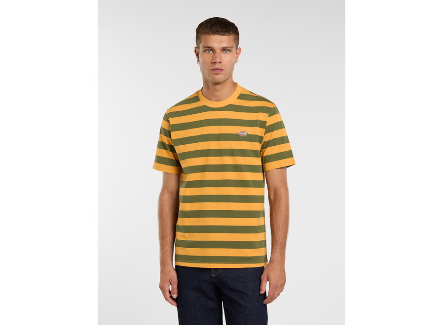 Dickies Rivergrove S/S T-Shirt Cypress