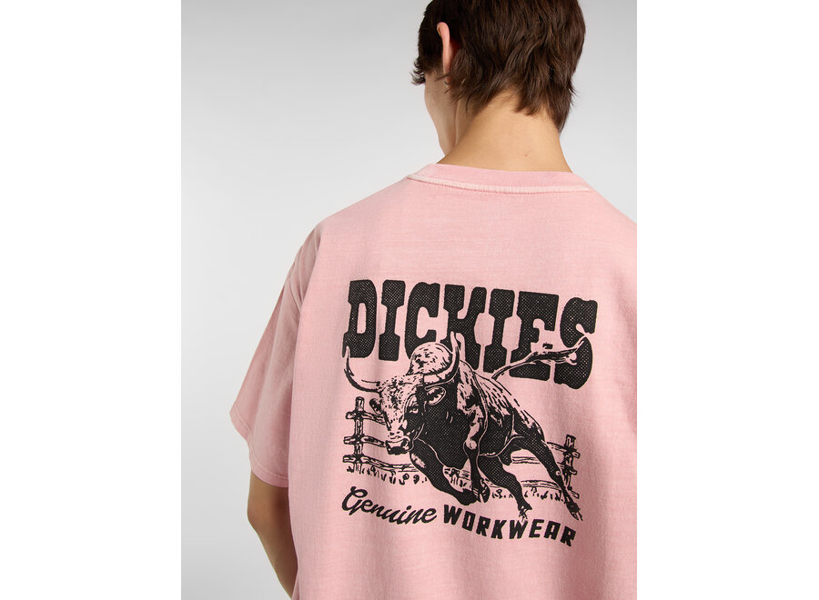 Dickies Buchtell S/S T-Shirt Bridal Rose