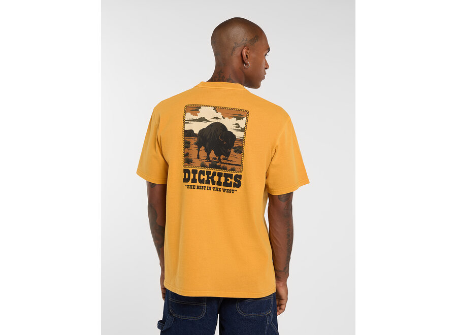 Dickies Darrtown S/S T-Shirt Sunflower