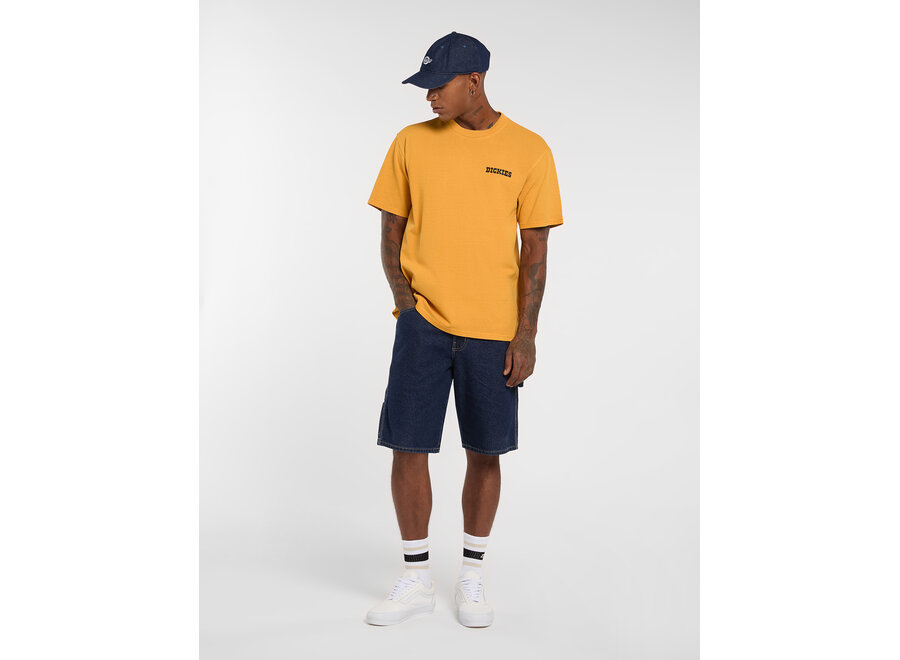 Dickies Darrtown S/S T-Shirt Sunflower
