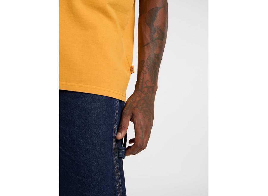 Dickies Darrtown S/S T-Shirt Sunflower