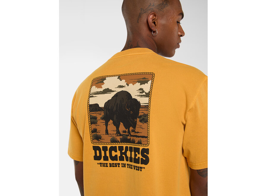 Dickies Darrtown S/S T-Shirt Sunflower
