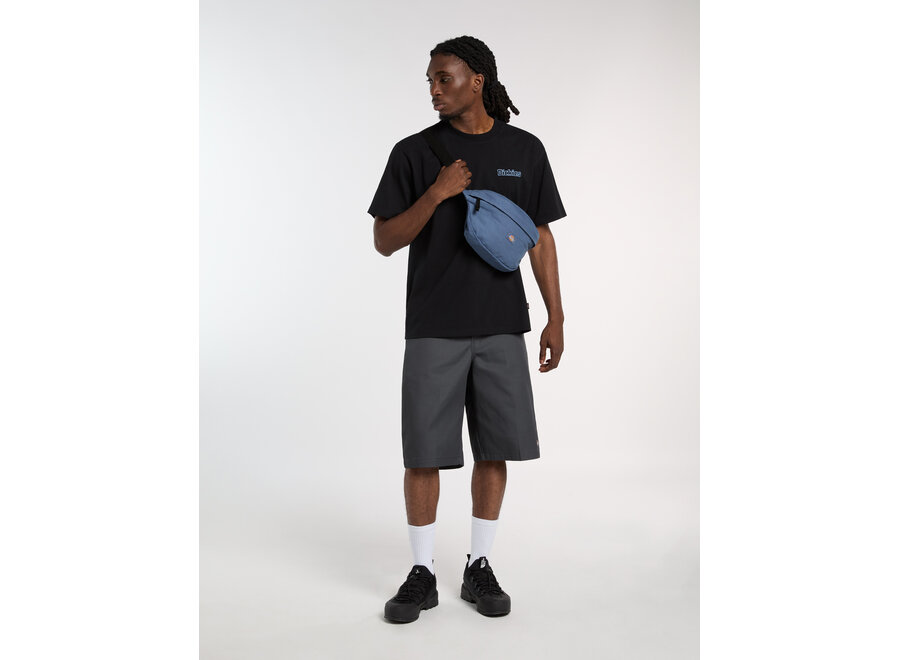 Dickies Fairlawn S/S T-Shirt Black