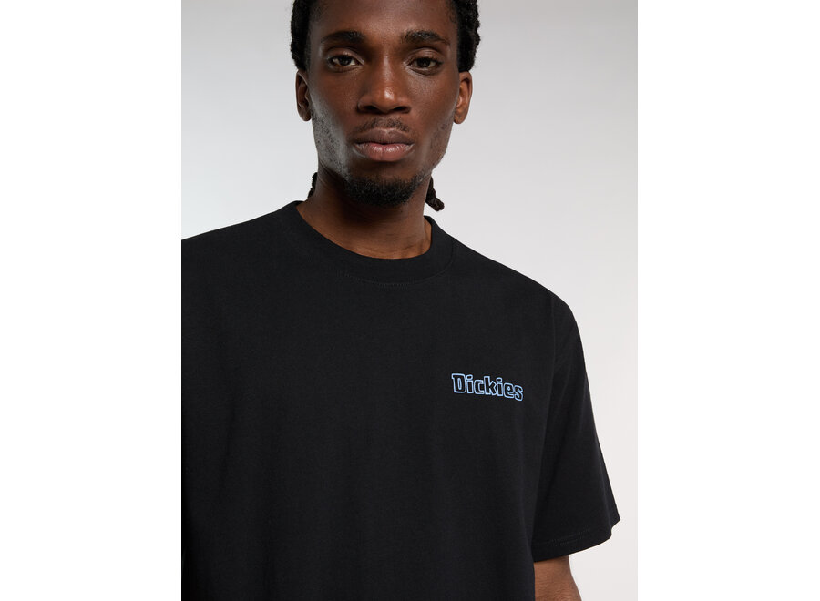 Dickies Fairlawn S/S T-Shirt Black