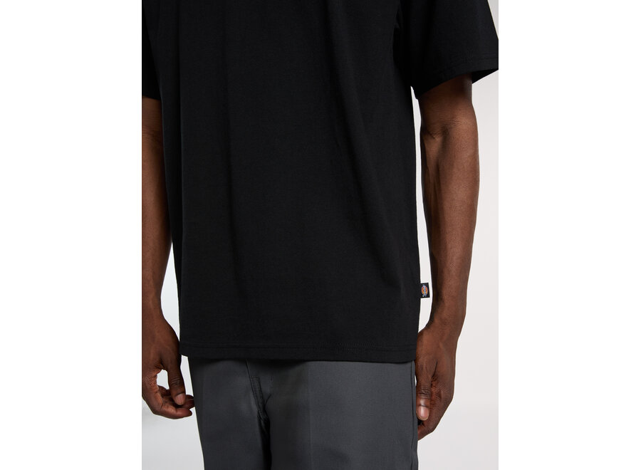 Dickies Fairlawn S/S T-Shirt Black