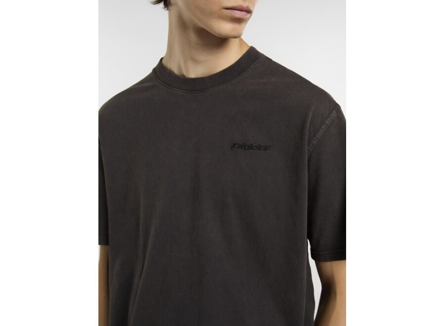 Dickies Plentywood S/S T-Shirt Double Dye/Acid Black