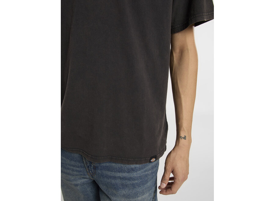 Dickies Plentywood S/S T-Shirt Double Dye/Acid Black