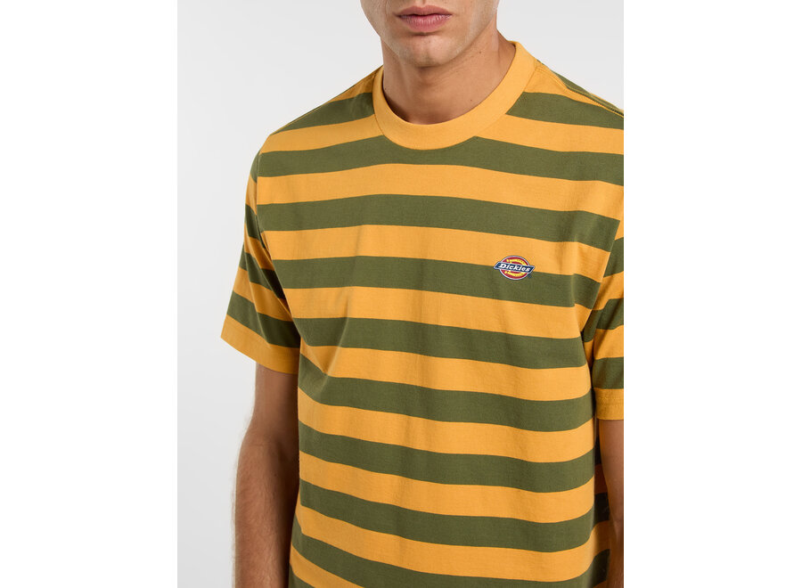 Dickies Rivergrove S/S T-Shirt Cypress
