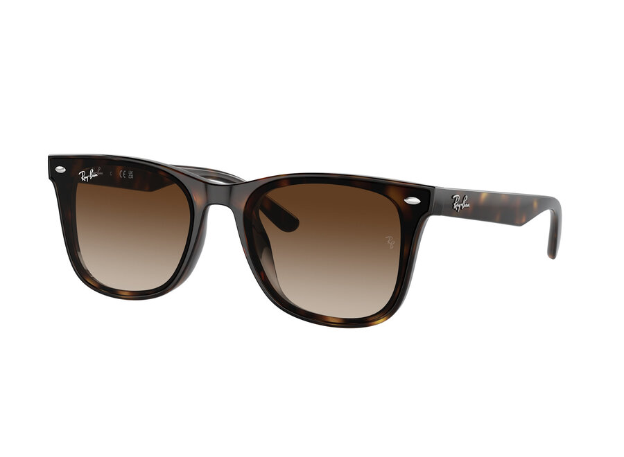 Ray-Ban RB4420 Havana