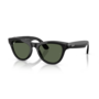 Ray-Ban Skyler Shiny Black