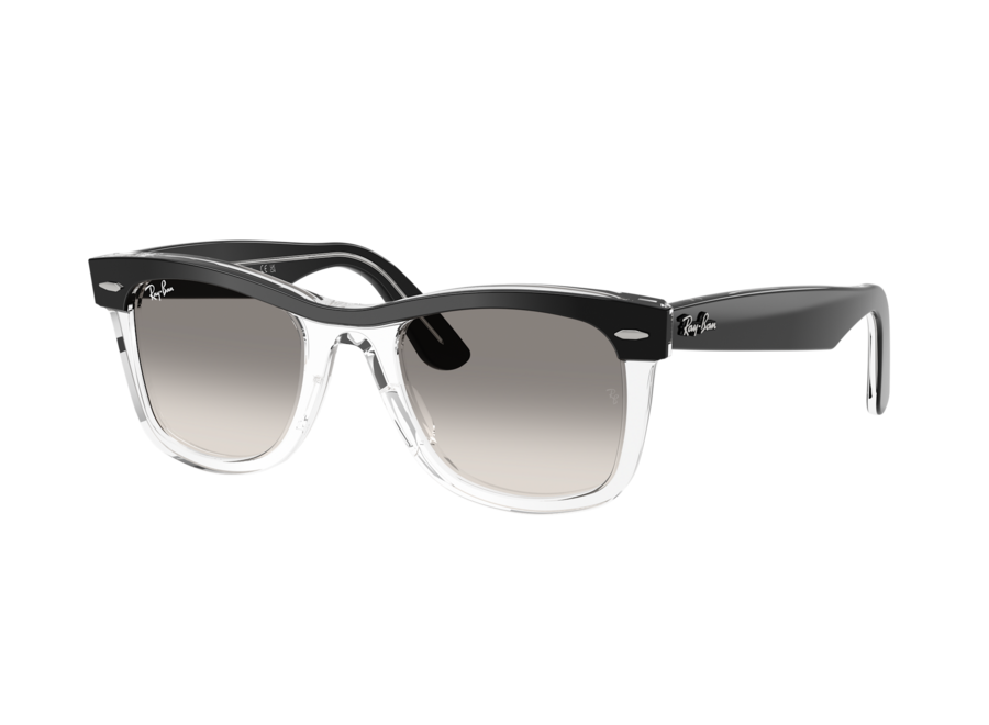 Wayfarer Black On Transparent