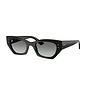 Ray-Ban Zena Black