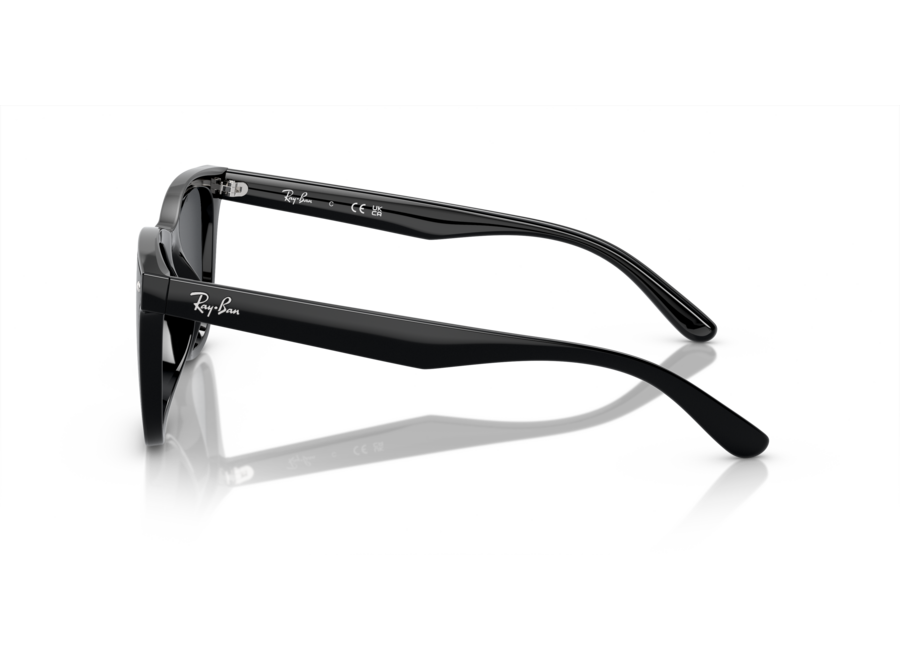Ray-Ban RB4420 Black
