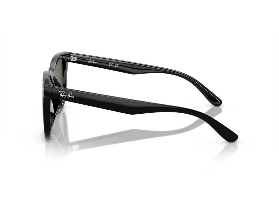 Ray-Ban RB4420 Black