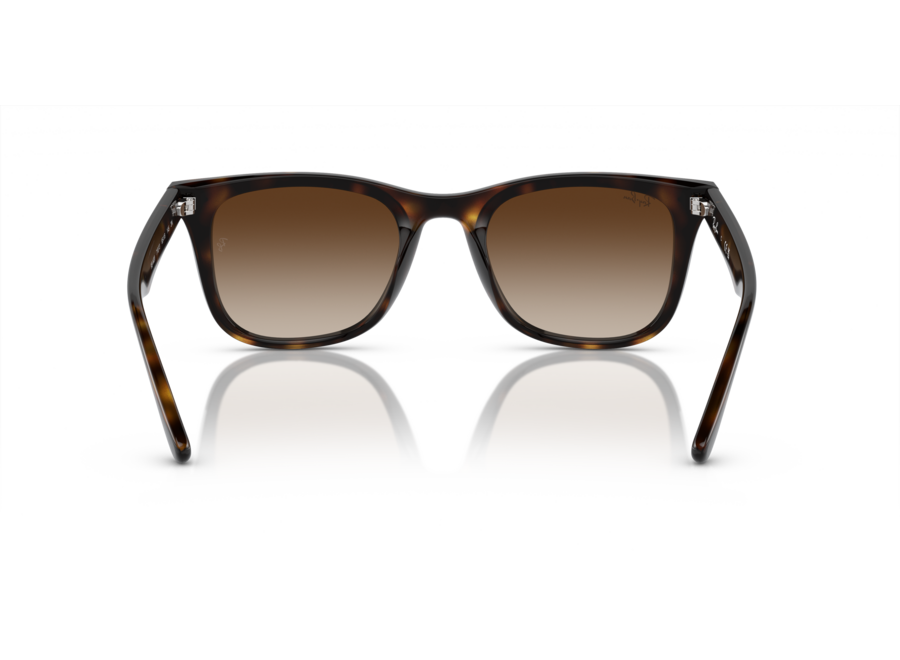 Ray-Ban RB4420 Havana