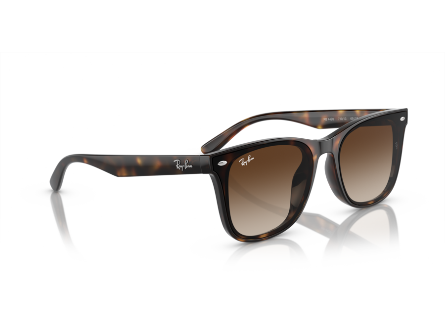 Ray-Ban RB4420 Havana