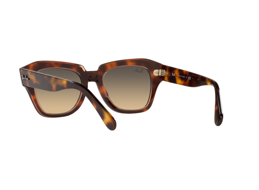 Ray-Ban State Street Havana On Transparent Pink