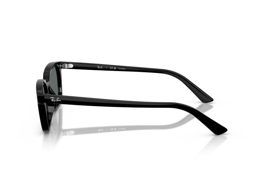 Ray-Ban Zaya Black