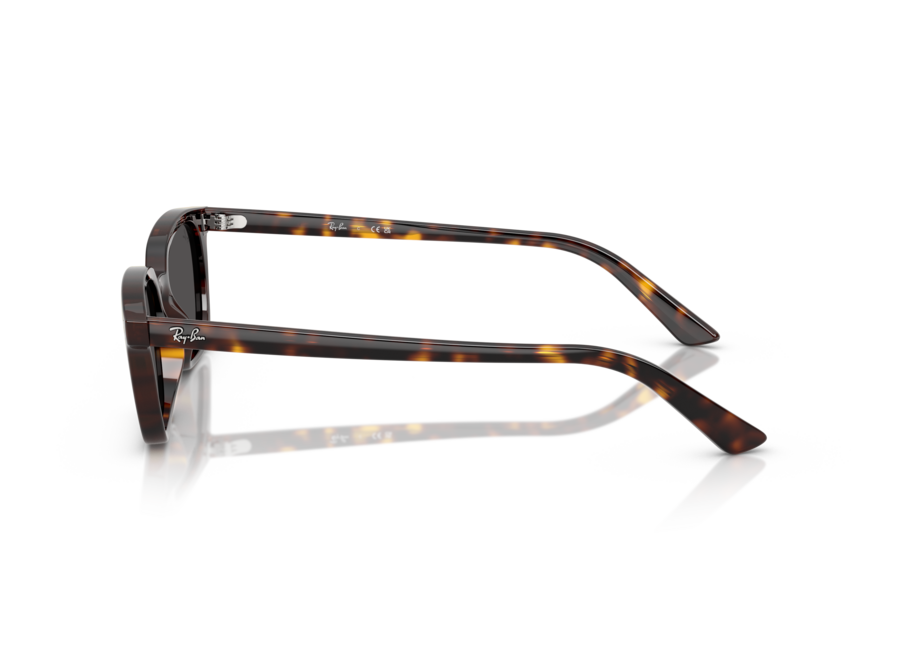 Ray-Ban Zaya Havana
