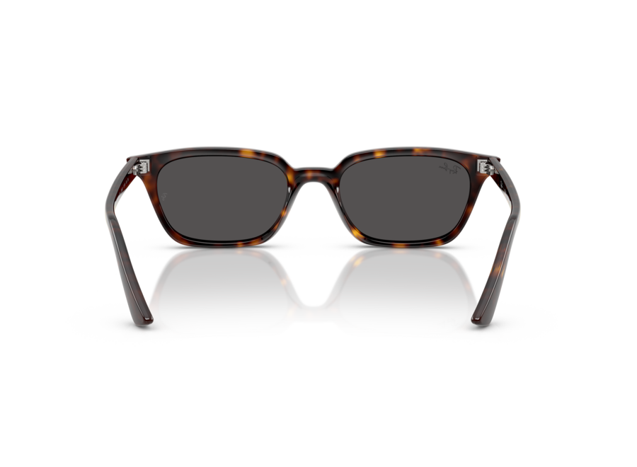 Ray-Ban Zaya Havana