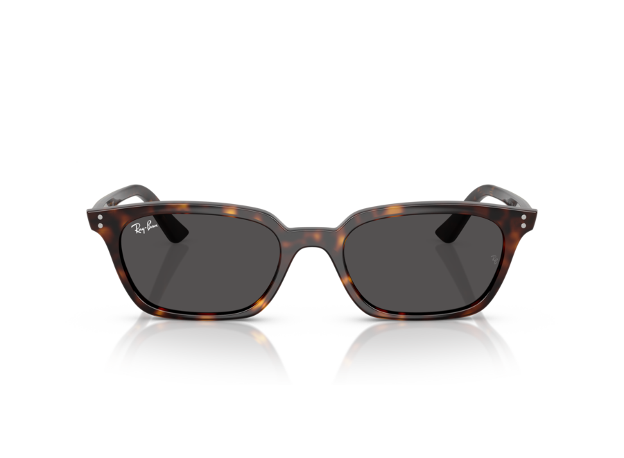 Ray-Ban Zaya Havana