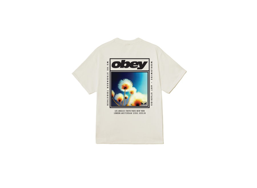 Obey Stronger Together T-shirt Vintage White