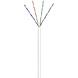 UTP CAT6 flexible 100M CCA Blanc (câble réseau en bobine) UTP CAT6 flexible 100M CCA Blanc (câble réseau en bobine)
