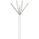 UTP CAT6 stug 305M CCA Wit (netwerkkabel op rol) UTP CAT6 stug 305M CCA Wit (netwerkkabel op rol)