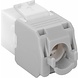 CAT6a Keystone RJ45 unshielded wit CAT6a Keystone RJ45 unshielded wit