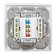 Boîte d'encastrement CAT6 2x RJ45 RAL9003 entrée verticale Boîte d'encastrement CAT6 2x RJ45 RAL9003 entrée verticale